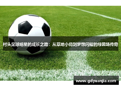村头足球明星的成长之路：从草地小将到梦想闪耀的绿茵场传奇