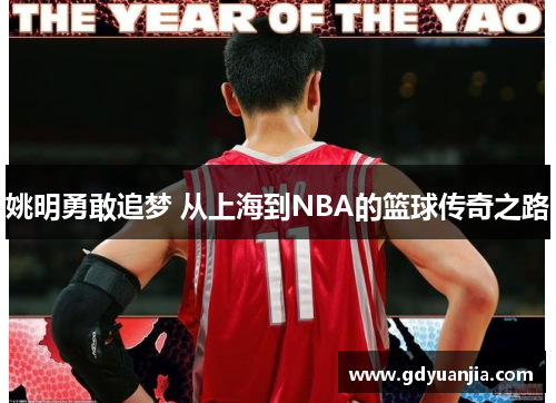 姚明勇敢追梦 从上海到NBA的篮球传奇之路