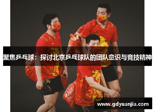 聚焦乒乓球：探讨北京乒乓球队的团队意识与竞技精神