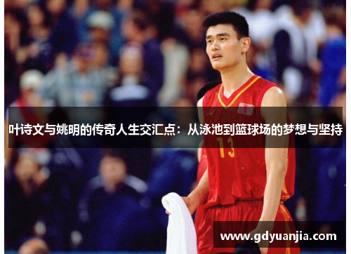 叶诗文与姚明的传奇人生交汇点：从泳池到篮球场的梦想与坚持