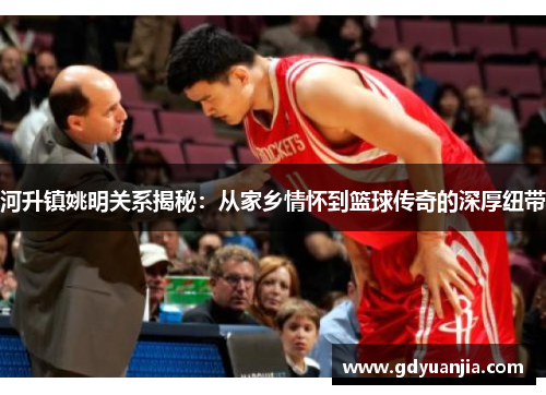 河升镇姚明关系揭秘：从家乡情怀到篮球传奇的深厚纽带