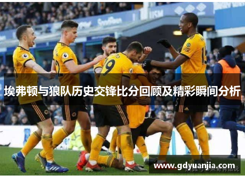 埃弗顿与狼队历史交锋比分回顾及精彩瞬间分析